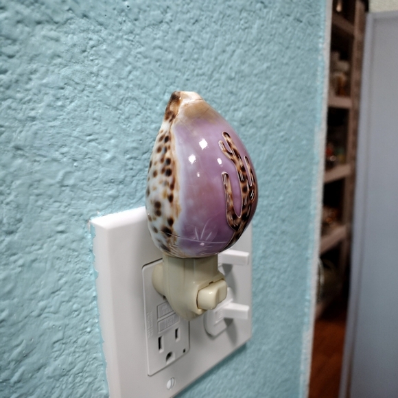 Carved Tiger Cowrie Cactus Night Light - Picture 5 of 9
